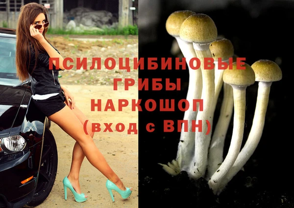 Альфа ПВП Беломорск