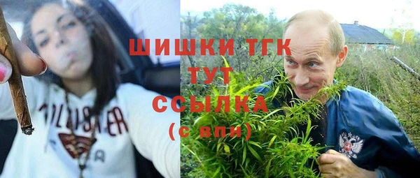Альфа ПВП Беломорск