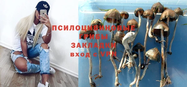 Альфа ПВП Беломорск