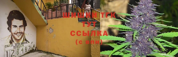 ПСИЛОЦИБИНОВЫЕ ГРИБЫ Анжеро-Судженск