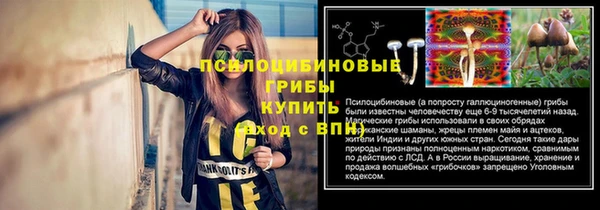 стаф Анива
