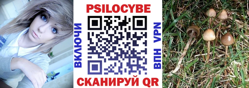 Галлюциногенные грибы ЛСД Белокуриха